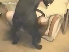 I want to fuck this lustful mother who can't live without her black dog's knob.